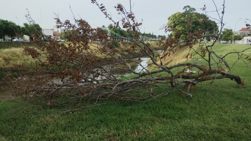 Una expectativa de mucho calor para toda la semana